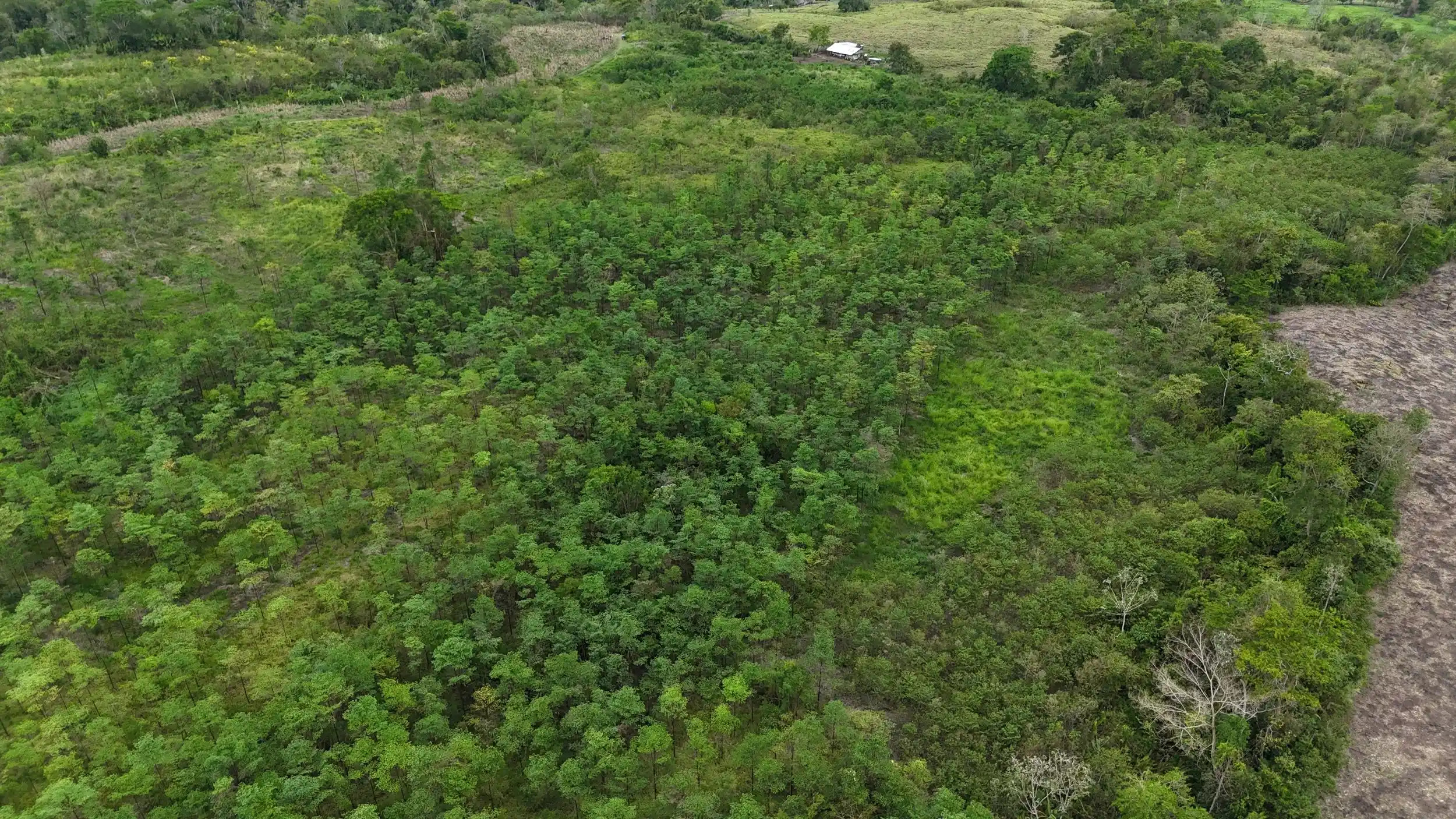 Área Protegida